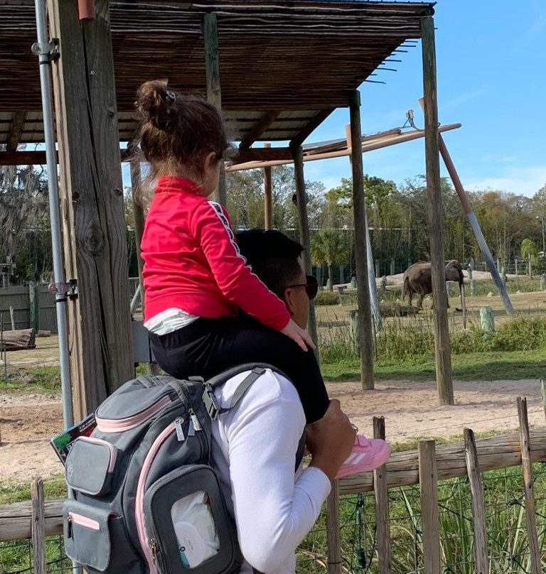 罗瑞公园动物园-坦帕必去景点