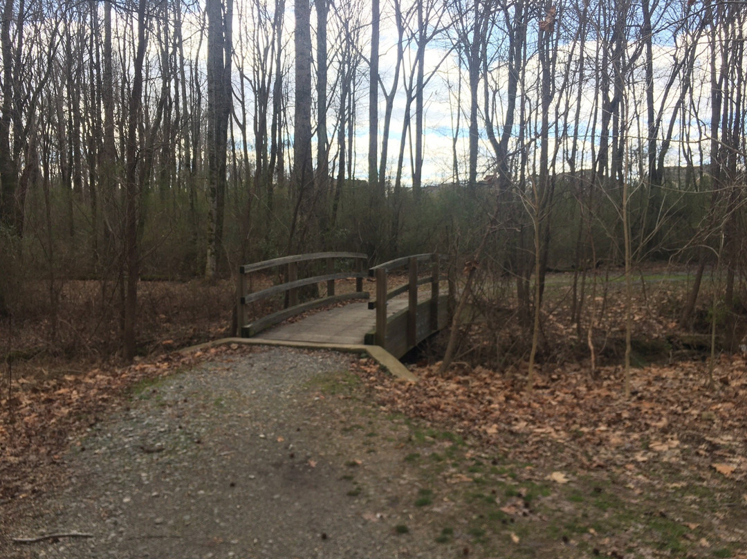 Midway Park-卡明必去景点