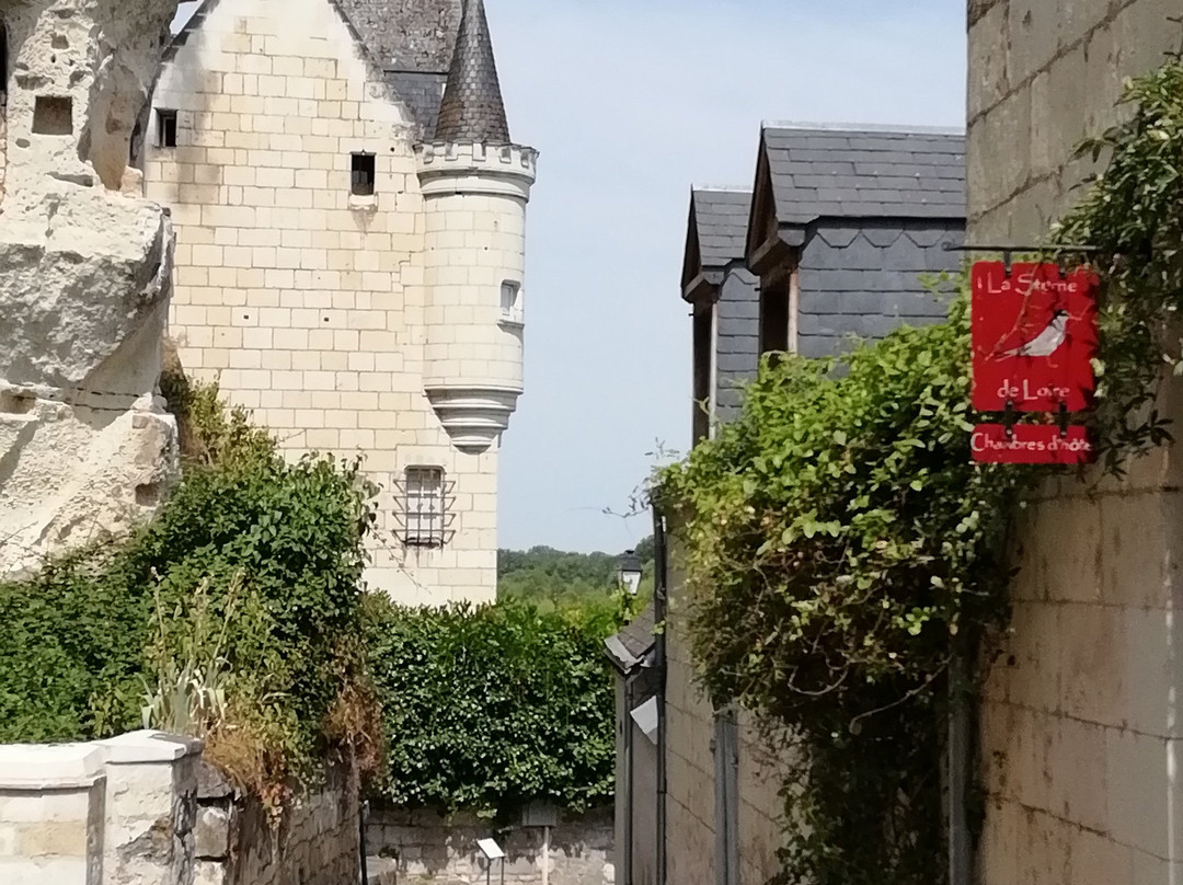 La Sterne de Loire主图