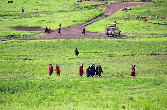 Masai Tribe-恩戈罗恩戈罗保护区必去景点