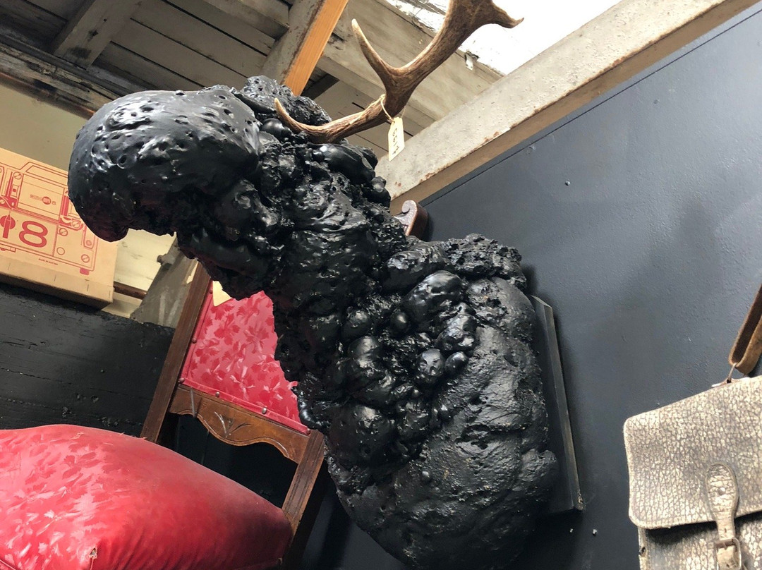 Antique Emporium-Devonport必去景点