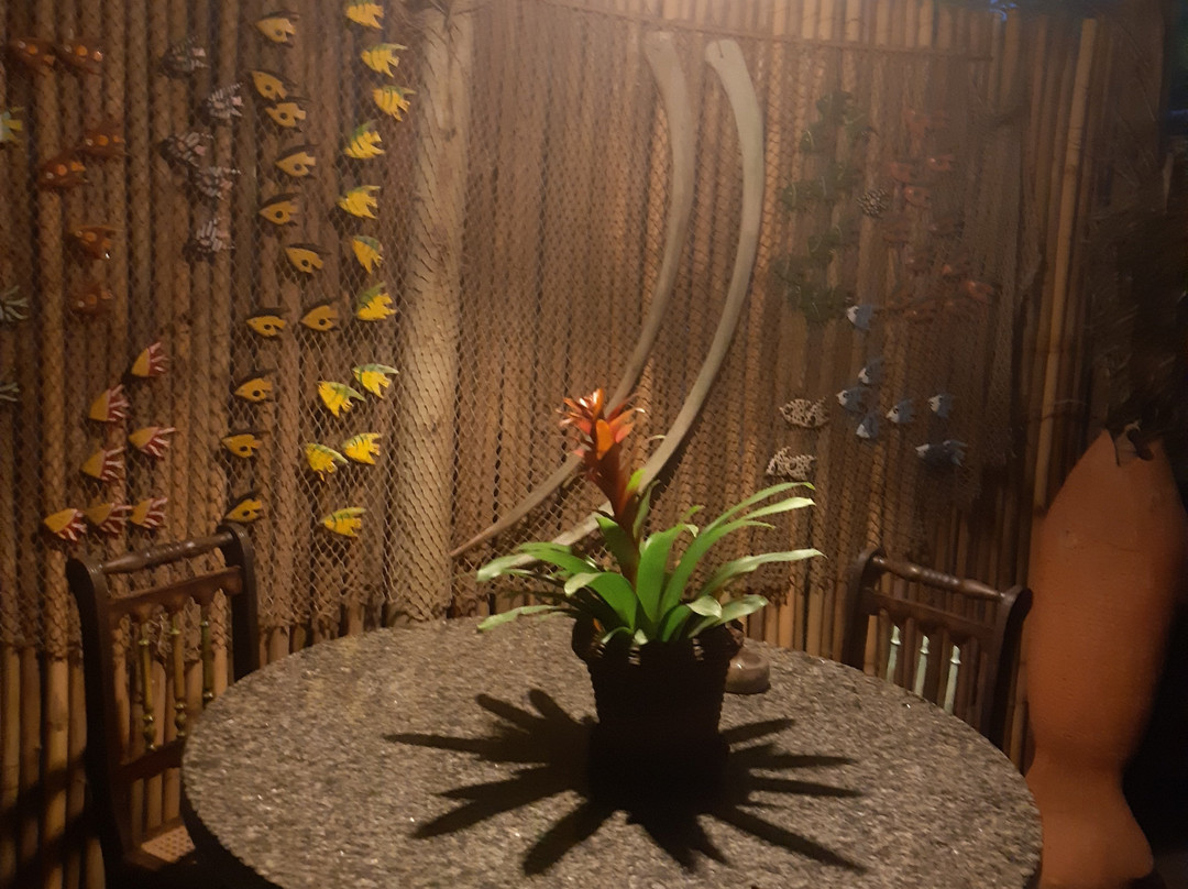 Pousada Praia Do Farol主图