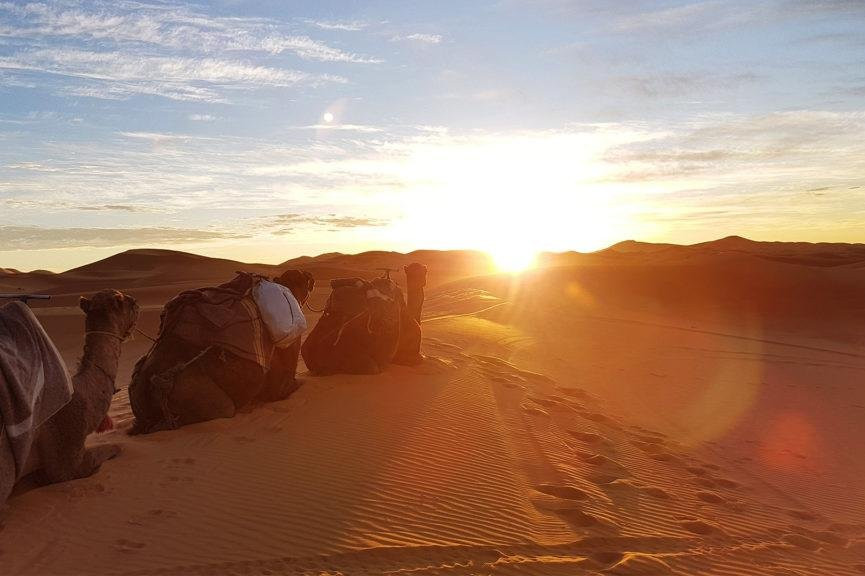 Fes Morocco Trips-非斯必去景点