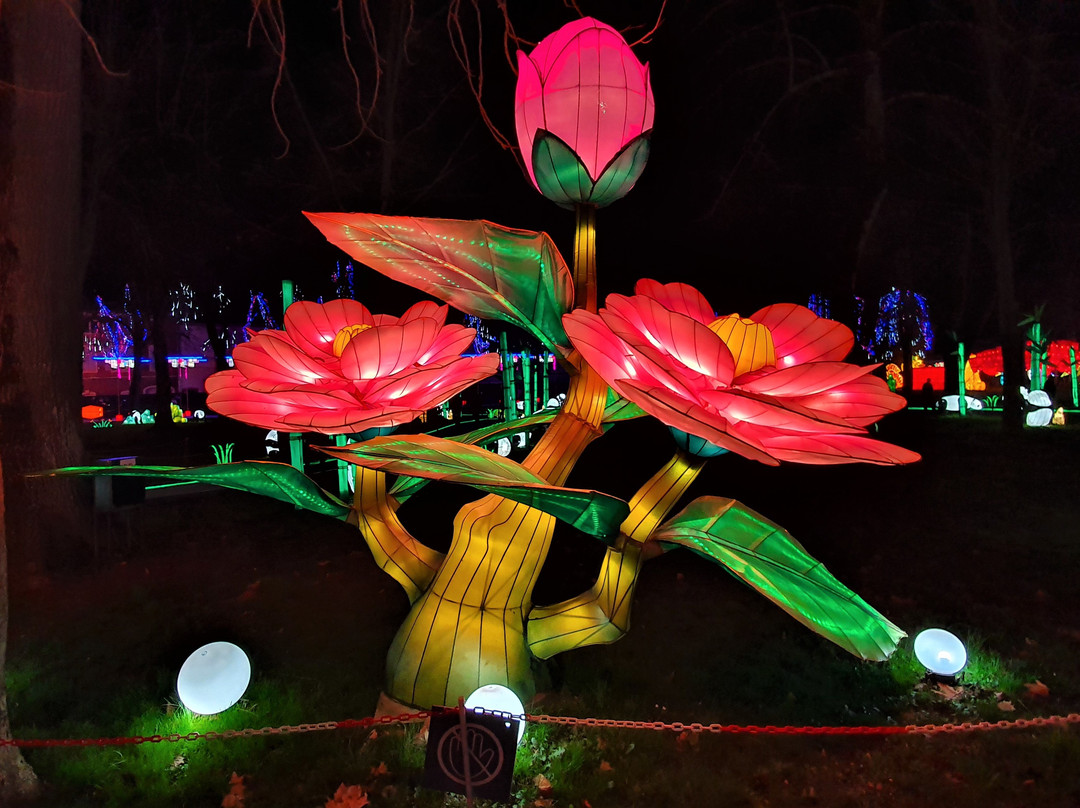 Festival des Lanternes