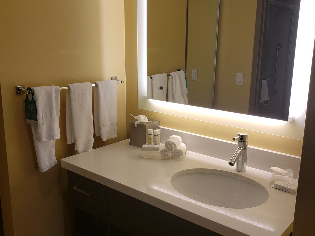 汉密尔顿希尔顿惠庭套房酒店主图