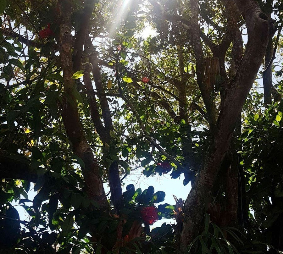 Pousada Casa da Praia主图