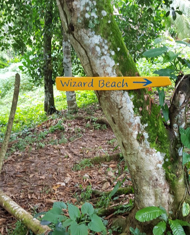 Wizard Beach景点图片