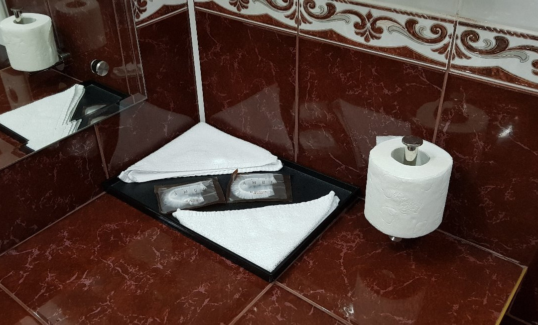 阿穆尔酒店主图