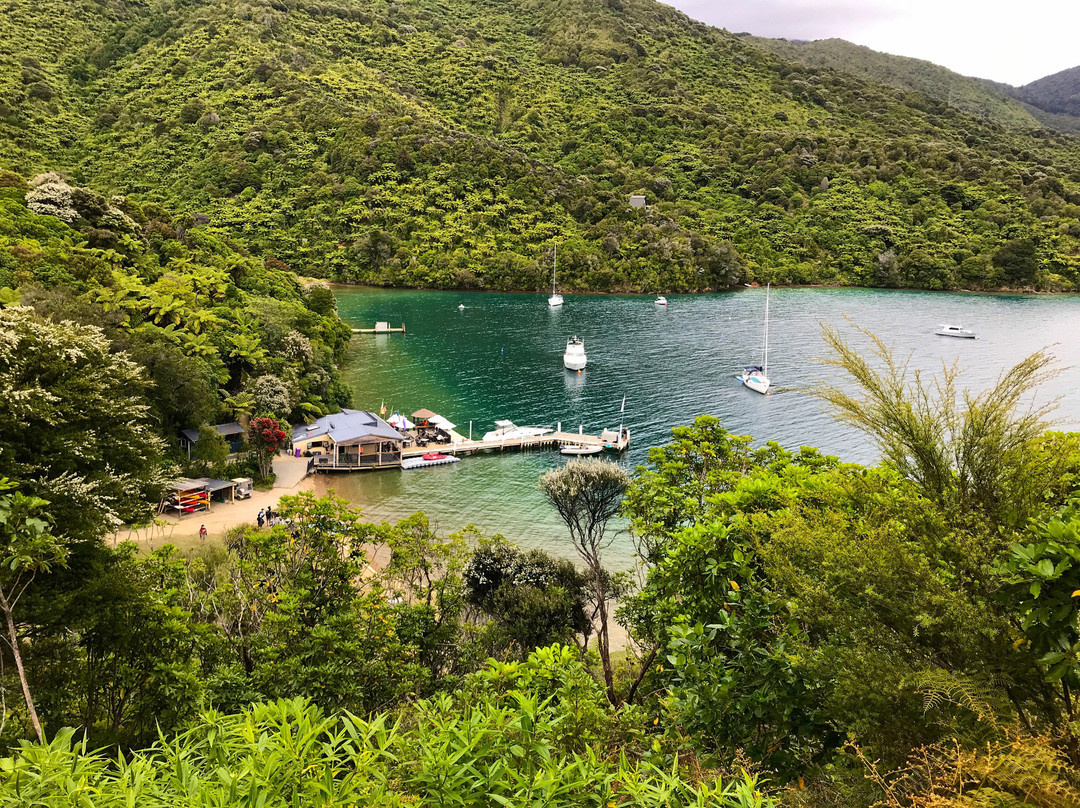 Marlborough Sounds Adventure Company - Day Tours景点图片