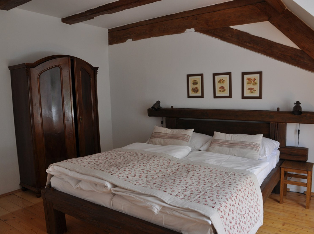 Penzion Dvorce主图