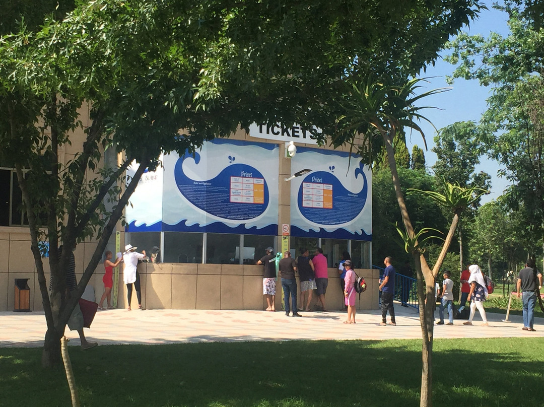 Wild Island-斯帕克斯必去景点