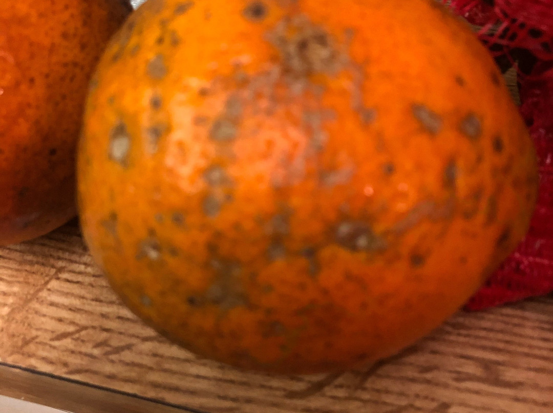 Jennings Citrus-Oxford必去景点