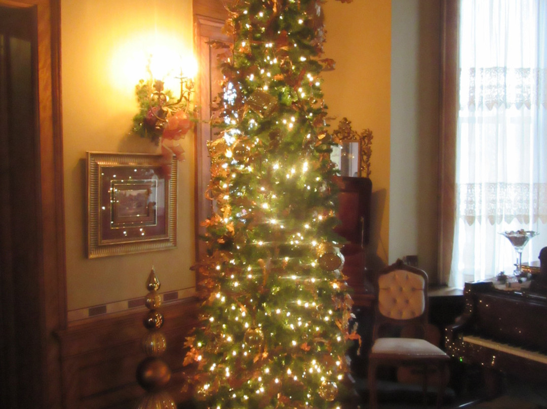 Vrooman Mansion主图