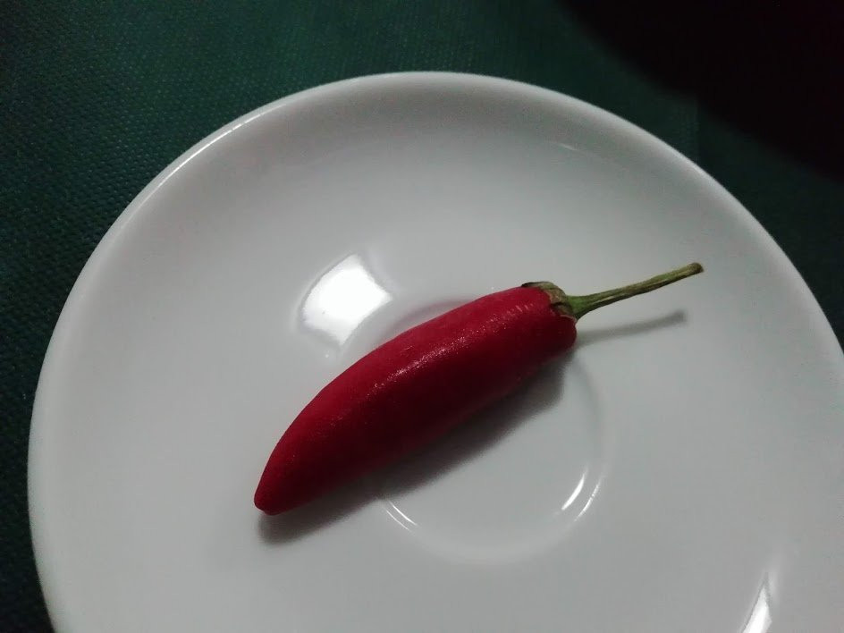席雷玛酒店主图