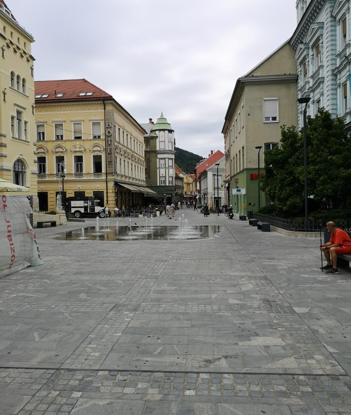 Rokometni Klub Celje Pivovarna Laško-Celje必去景点