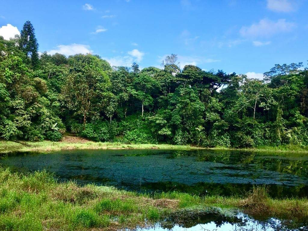 Finca Cántaros景点图片
