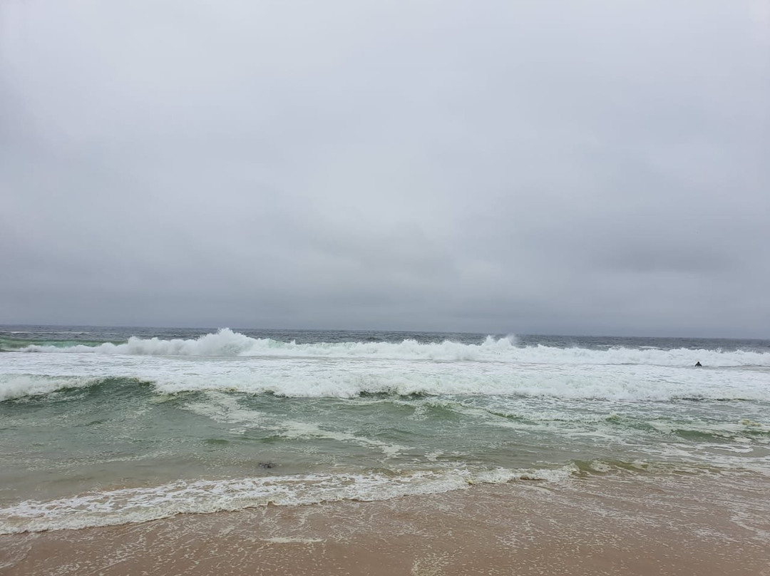 Playa Mirasol景点图片