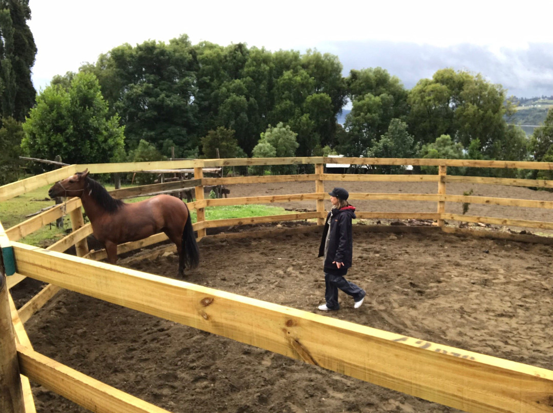 Rancho Pullao-Castro必去景点