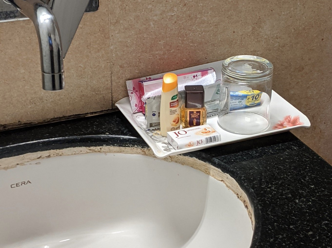 Hotel The Karan主图