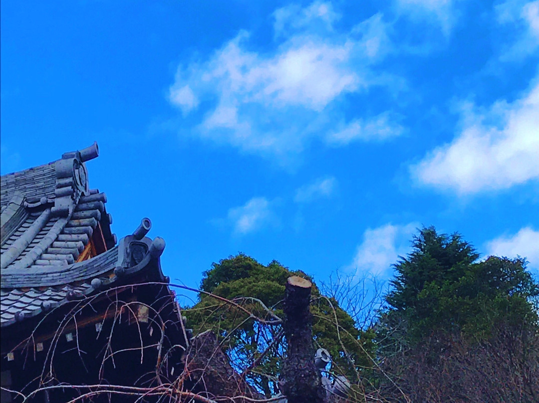 Seiun-ji Temple景点图片