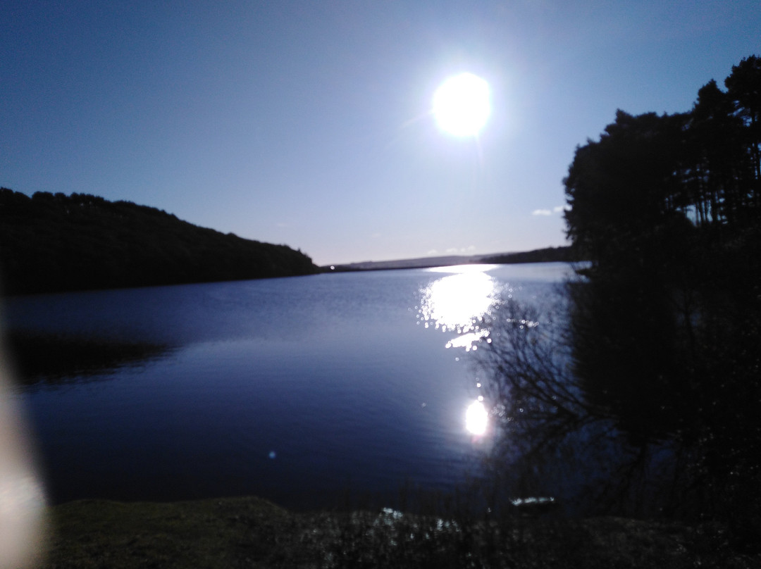 Tunstall Reservoir-Wolsingham必去景点
