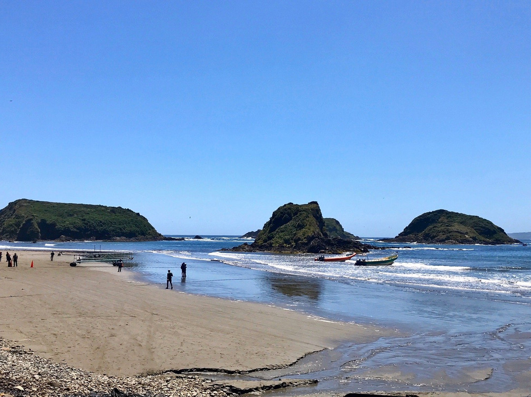 Ecoturismo Punihuil-Ancud必去景点