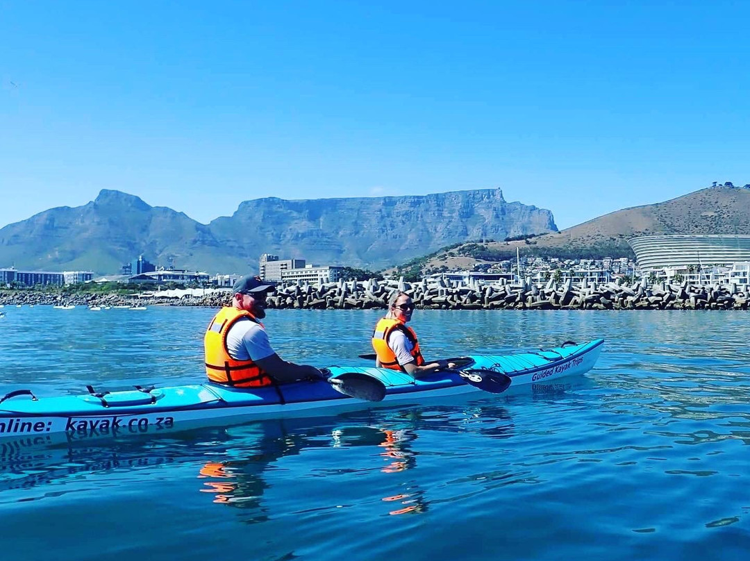 Cape Kayak Adventures-Three Anchor Bay必去景点