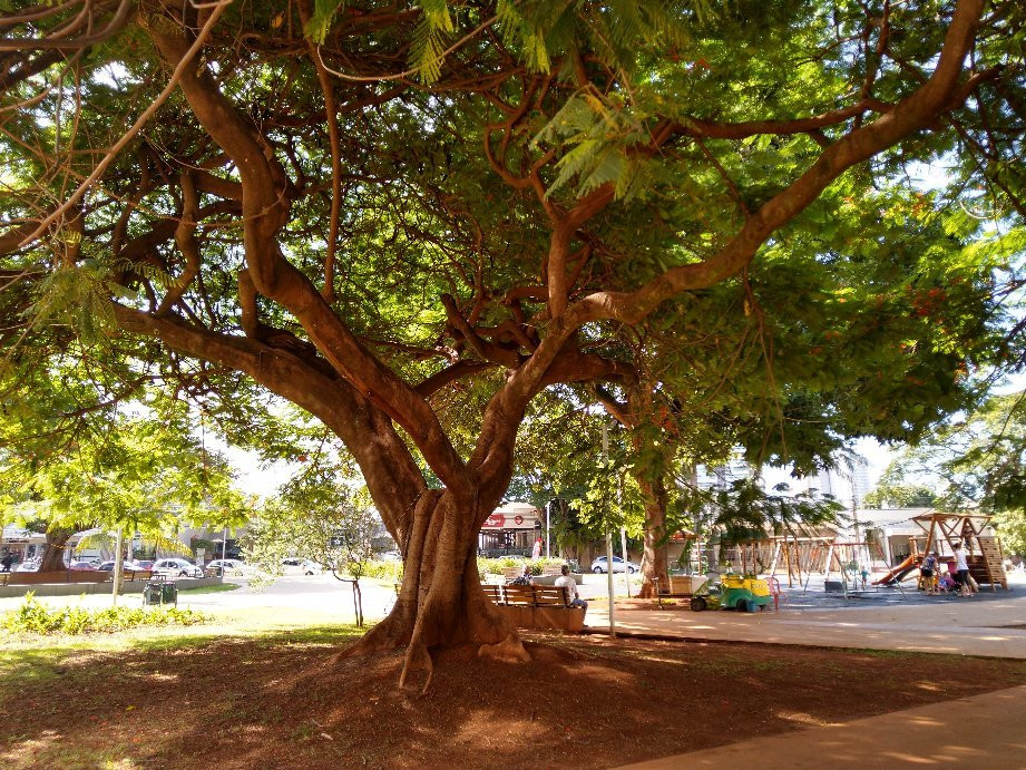 Praça do Sol景点图片