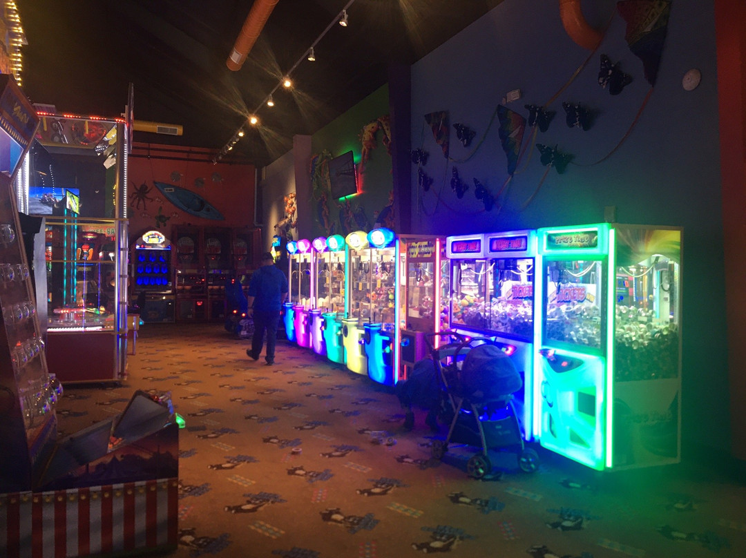 The Track-皮金福奇必去景点