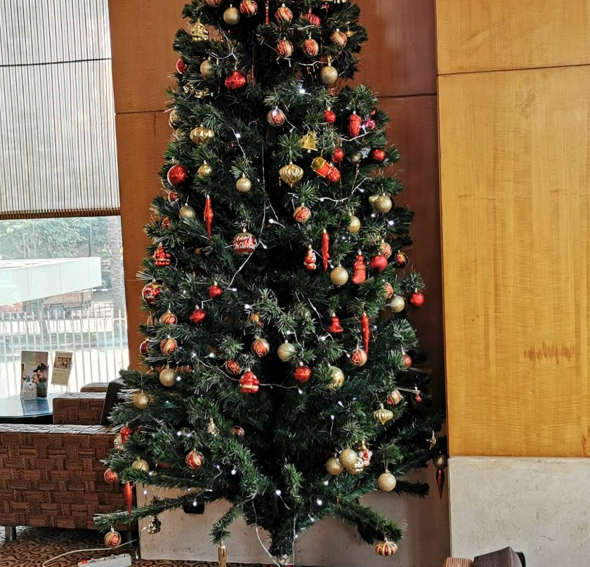 城市之星假日酒店主图