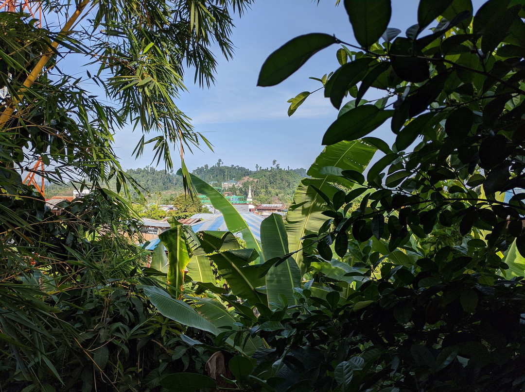 Hotel Raja Ampat主图