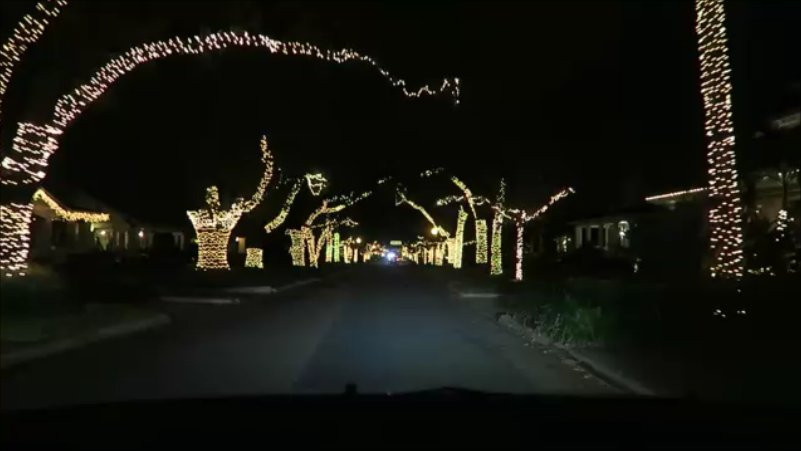 Hyde Park-坦帕必去景点