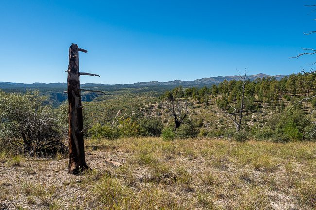 WolfHorse Outfitters Day Tours-Silver City必去景点