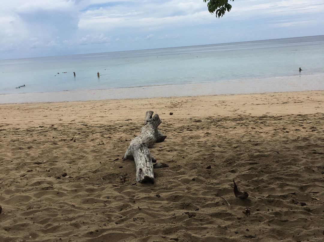 Le Jardin Maore主图