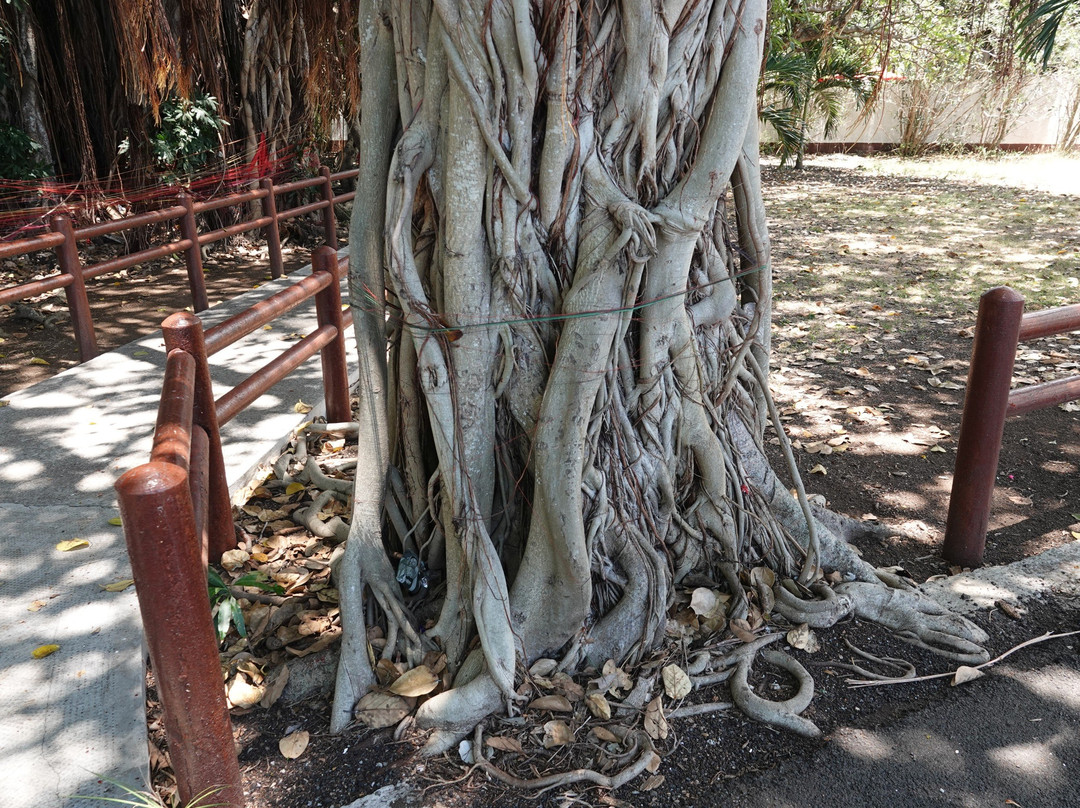 temple de Triolet景点图片
