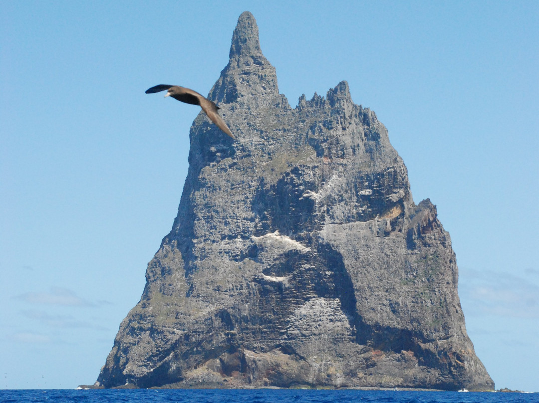 Ball's Pyramid-豪勋爵群岛必去景点