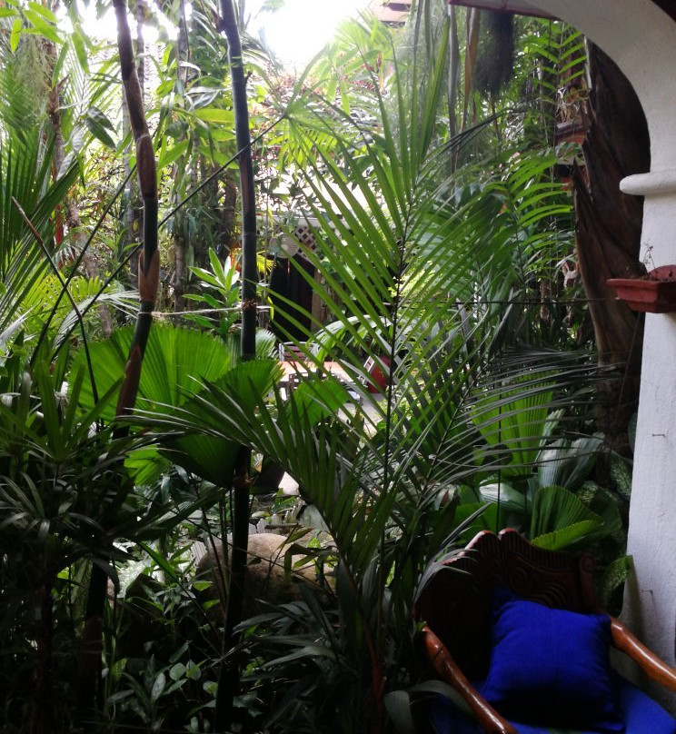 Casona Maya Mexicana Hotel Boutique主图