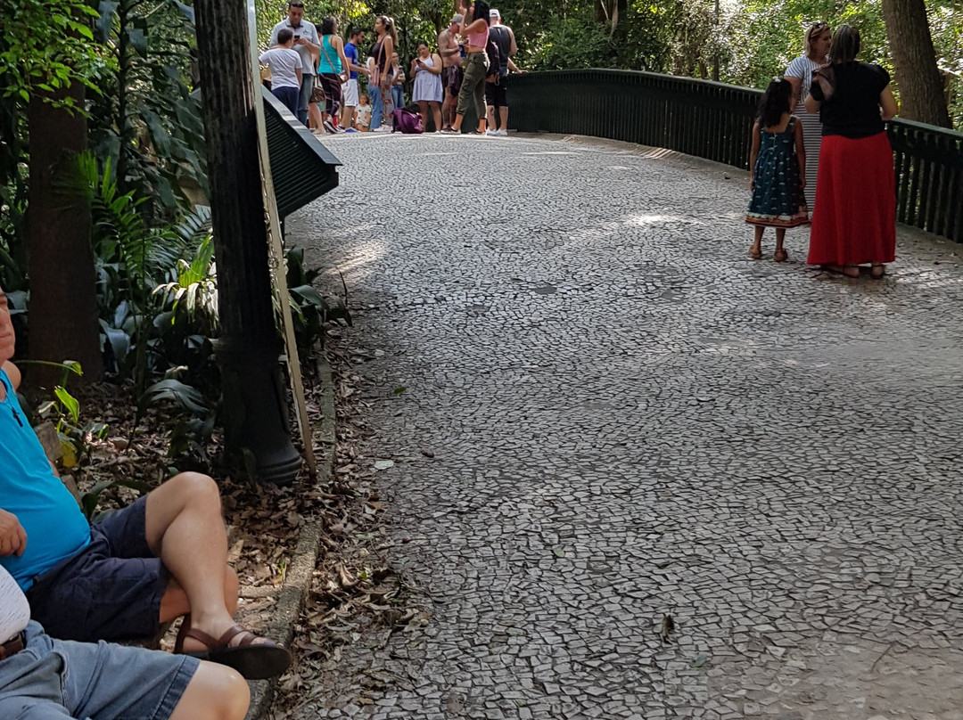 Tenente Siqueira Campos Park (Trianon)-圣保罗必去景点