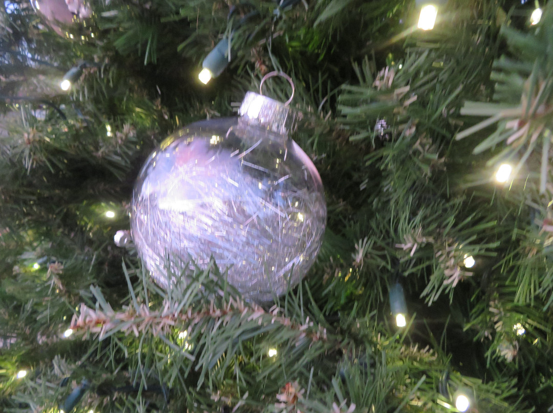 Town & Country Village-帕罗奥多必去景点