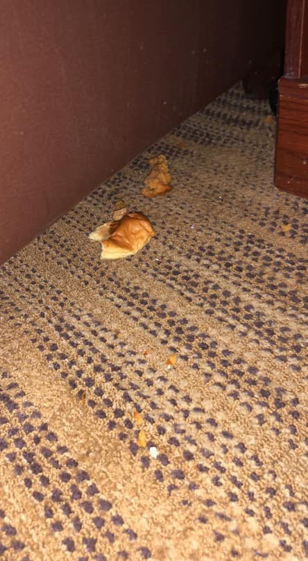 Extended Stay America - Chicago - Midway主图