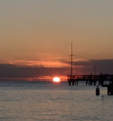 The Conch Tour Train-基韦斯特必去景点