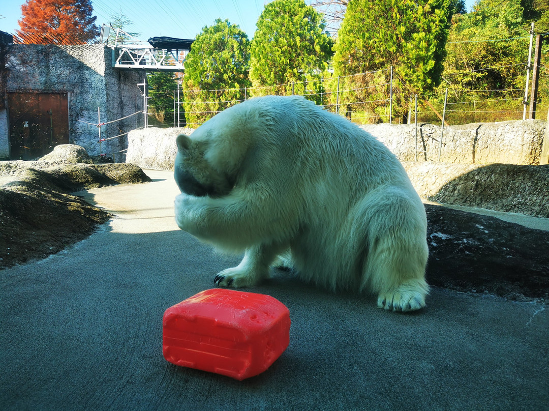Tokushima Zoo-德岛市必去景点