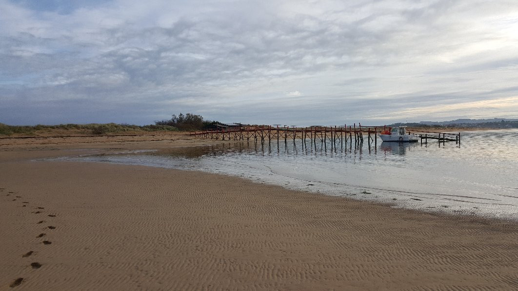 Playa de El Puntal景点图片