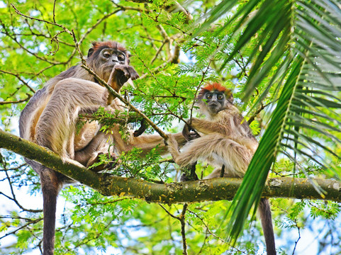 On Holiday Safaris-恩德培必去景点