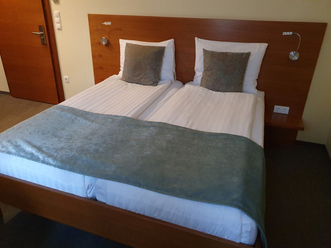 Hotel Triglav主图