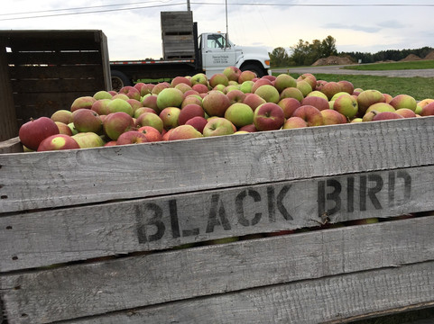 BlackBird Cider Works-Barker必去景点