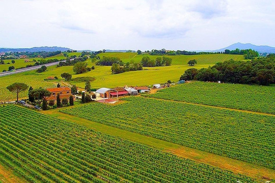 Podere Casanova Vini Montepulciano Toscana-蒙特普尔恰诺必去景点