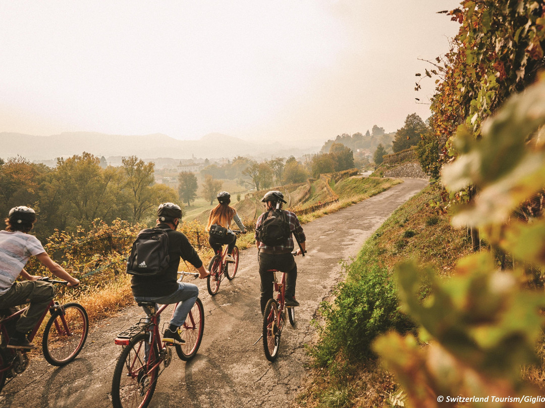 Mendrisiotto Terroir - Bike'n'Wine景点图片