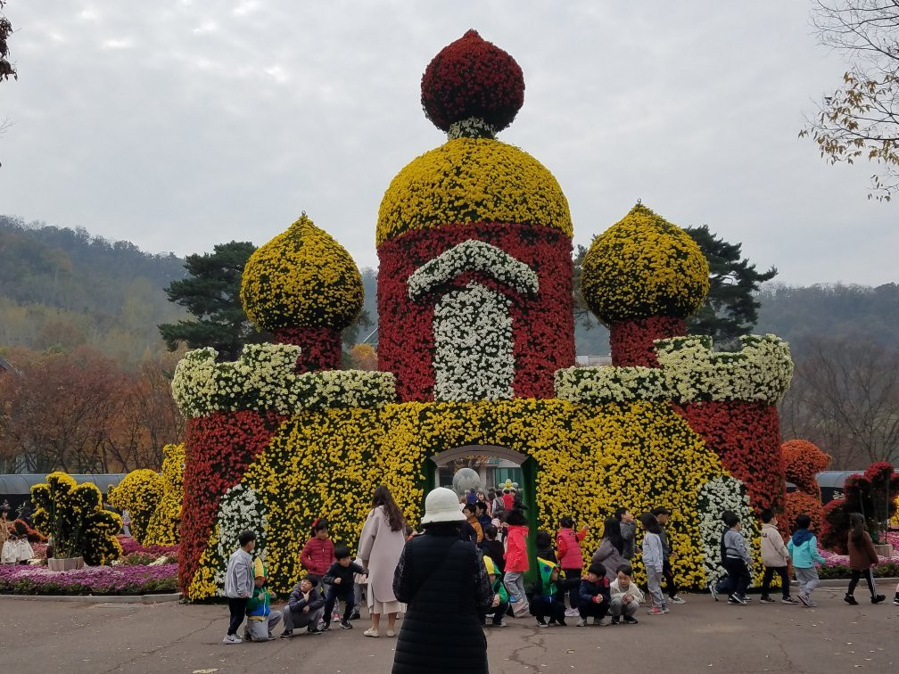 Daegu Arboretum-大邱必去景点