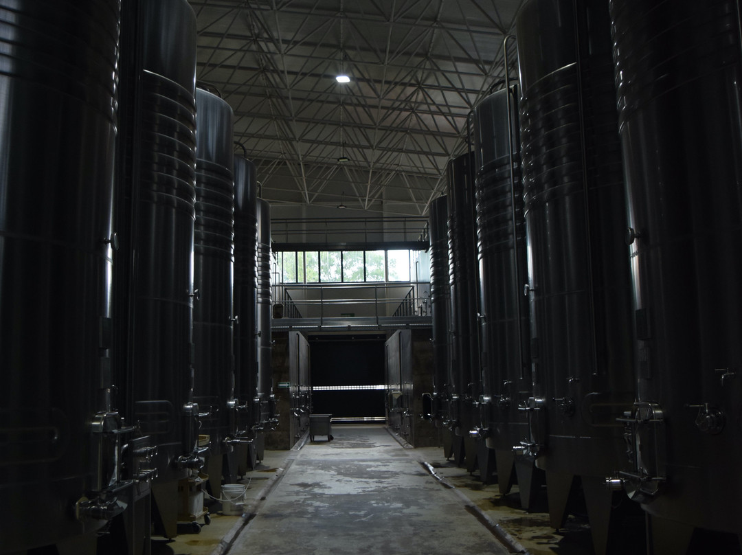 Bodega Aranjuez 1976-塔里哈必去景点